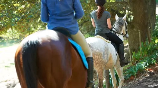 Twee mensen rijden op paarden in een bosrijke omgeving.