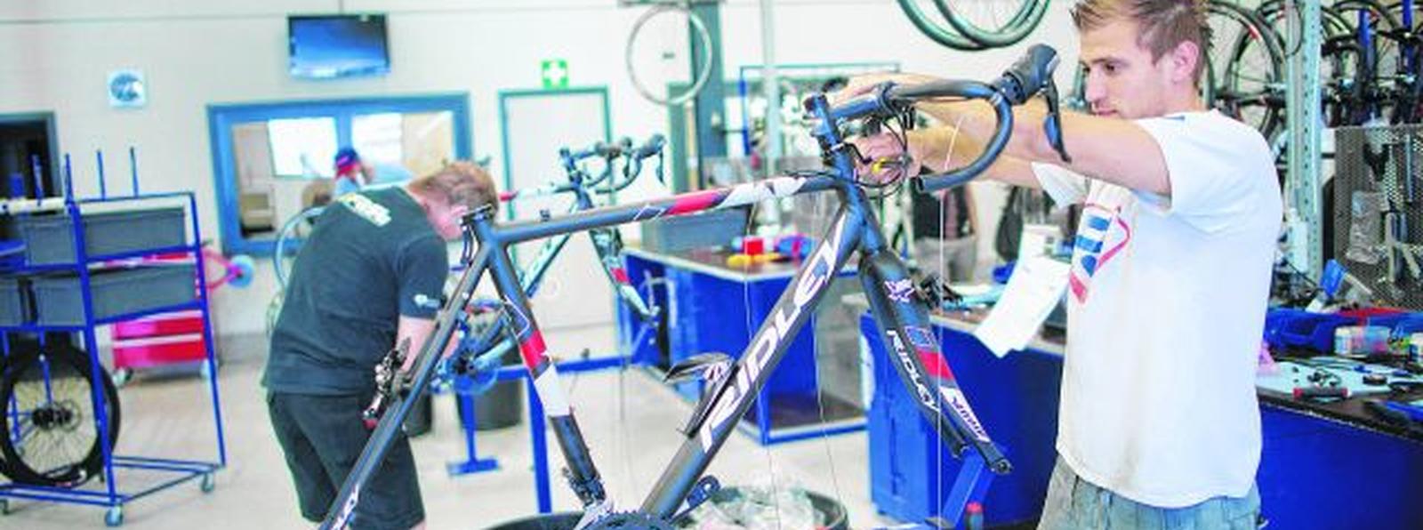 ridley bikes